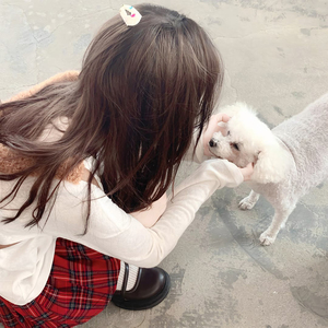 我是小小魅魔的仆人第1集
